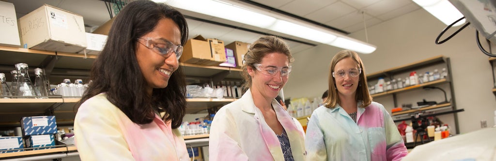 Biomedical engineering, PhD